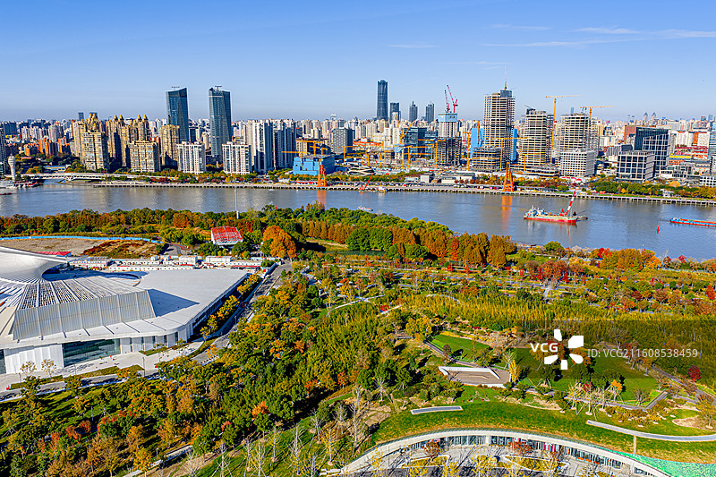 上海后滩公园 黄浦江畔湿地森林秋色绚烂水杉树红了 世博文化公园 上海西岸徐汇滨江图片素材