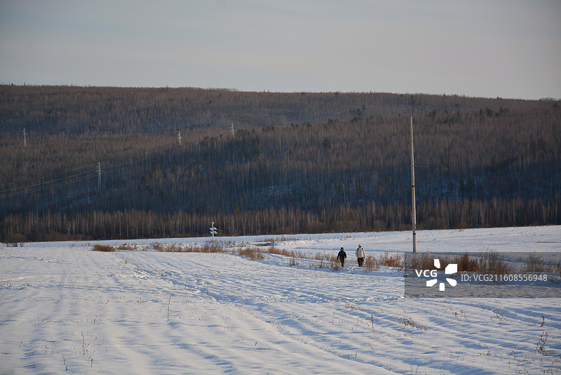 大雪覆盖的田野图片素材