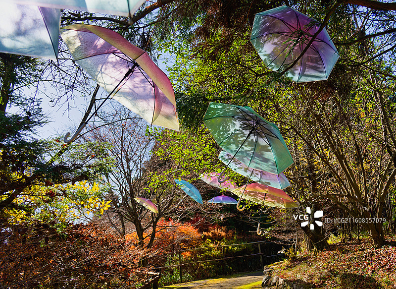 比叡山花园艺术馆图片素材