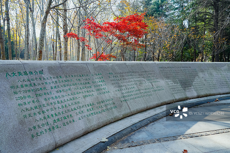 八大关  山东省青岛市八大关景区总体介绍图片素材