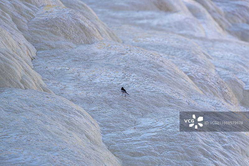 云南迪庆香格里拉白水台风景图片素材