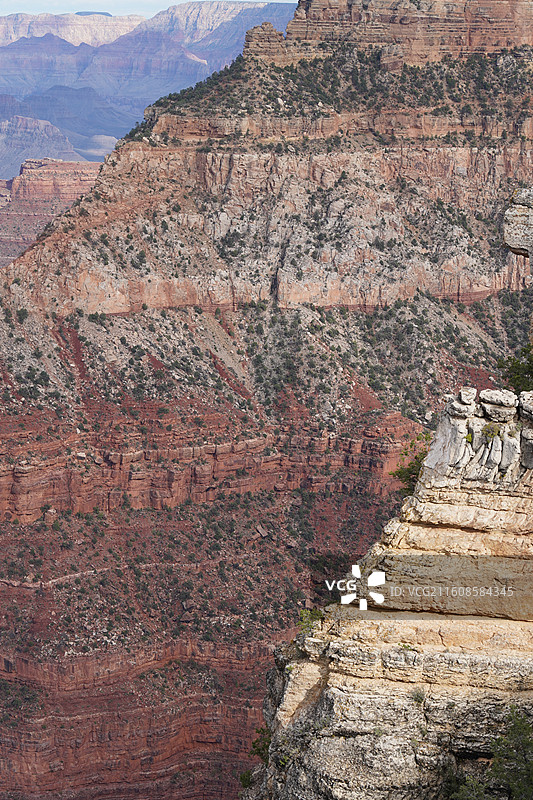 美国之旅留下的美好回忆之加州的阳光 陆地生物  一起看海图片素材