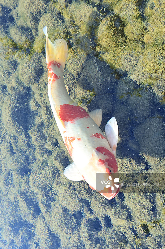 杭州中国丝绸博物馆图片素材
