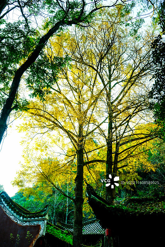 金秋时节中国贵州省黔南州黄平县飞云崖风光，黔南第一洞天牌坊，月潭寺牌坊，飞云崖，藏经阁，飞云崖古建筑图片素材