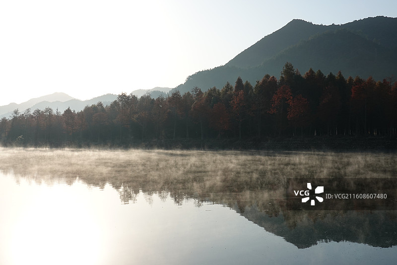 安徽省宣城市宁国市方塘乡青龙湾红杉林日出晨曦晨雾：皖南川藏线秋景图片素材