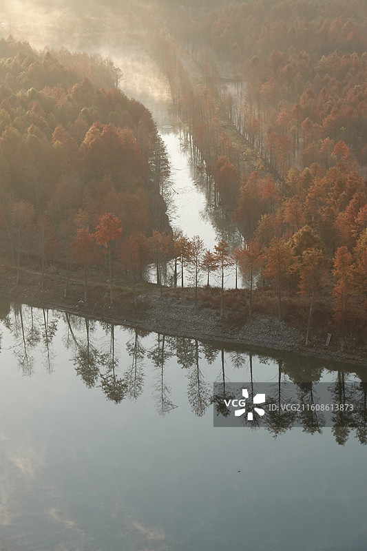 安徽省宣城市宁国市方塘乡青龙湾红杉林日出晨曦晨雾：皖南川藏线秋景图片素材