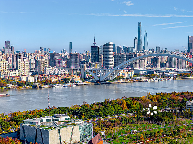 上海卢浦大桥黄浦江畔秋天城市风光 城市天际线与秋日杉树林 南园滨江绿地 后滩公园图片素材