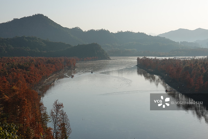 安徽省宣城市宁国市方塘乡青龙湾红杉林日出晨曦晨雾：皖南川藏线秋景图片素材