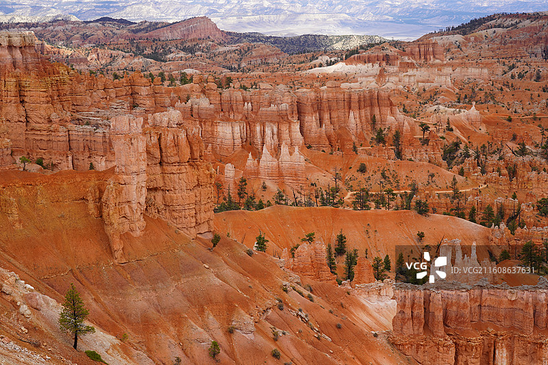 美国之旅留下的美好回忆之加州的阳光 陆地生物  一起看海图片素材