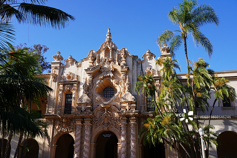 美国之旅留下的美好回忆之加州的阳光 陆地生物  一起看海图片素材