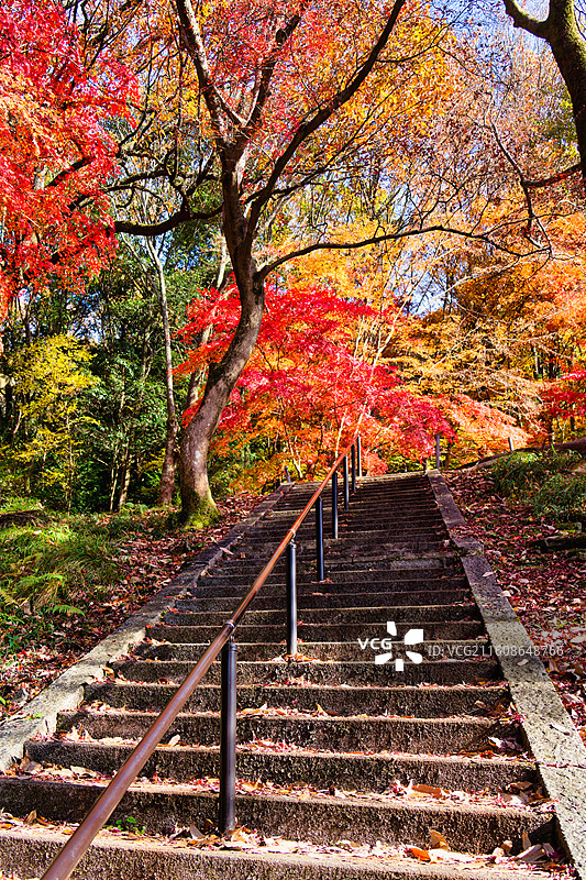 比叡山延历寺红叶祭图片素材