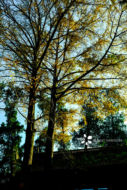 金秋时节中国贵州省黔南州黄平县飞云崖风光，黔南第一洞天牌坊，月潭寺牌坊，飞云崖，藏经阁，飞云崖古建筑图片素材