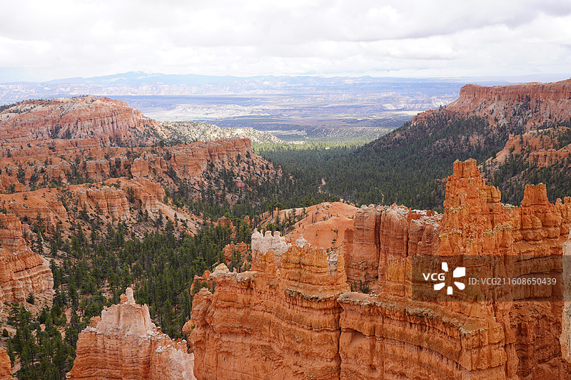 美国之旅留下的美好回忆之加州的阳光 陆地生物  一起看海图片素材