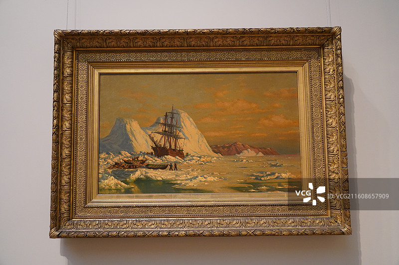 美国之旅留下的美好回忆之加州的阳光 陆地生物  一起看海图片素材