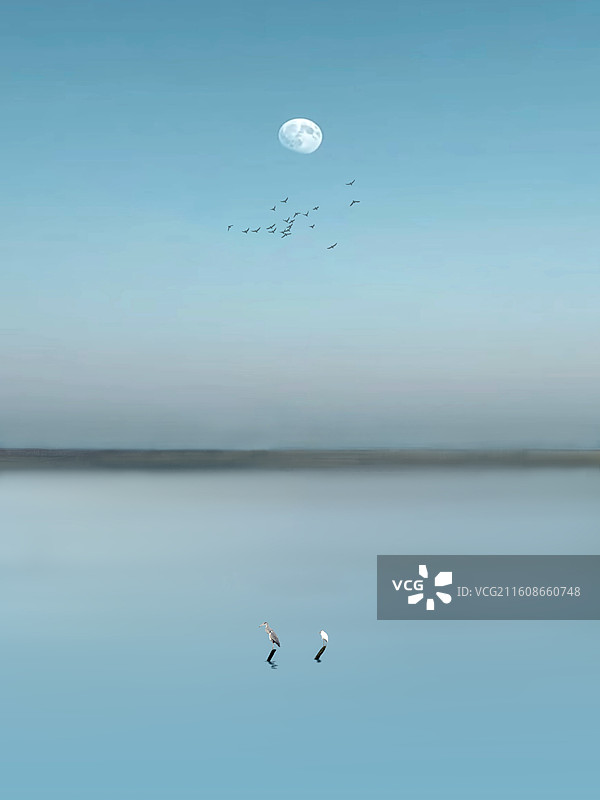 伫立寒江的白鹭和灰鹭图片素材