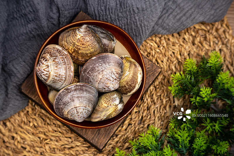 桌面餐具放着新鲜文蛤蛤蜊生鲜食材水产品图片素材