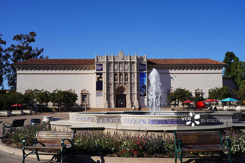 美国之旅留下的美好回忆之加州的阳光 陆地生物  一起看海图片素材