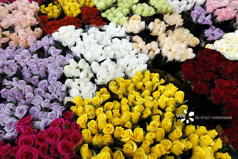 云南昆明斗南花市鲜花图片素材