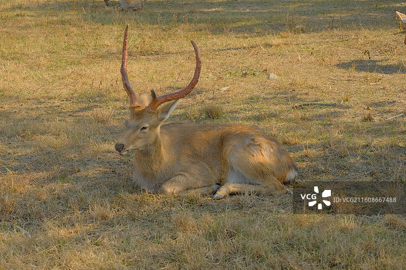 良渚古城遗址公园图片素材