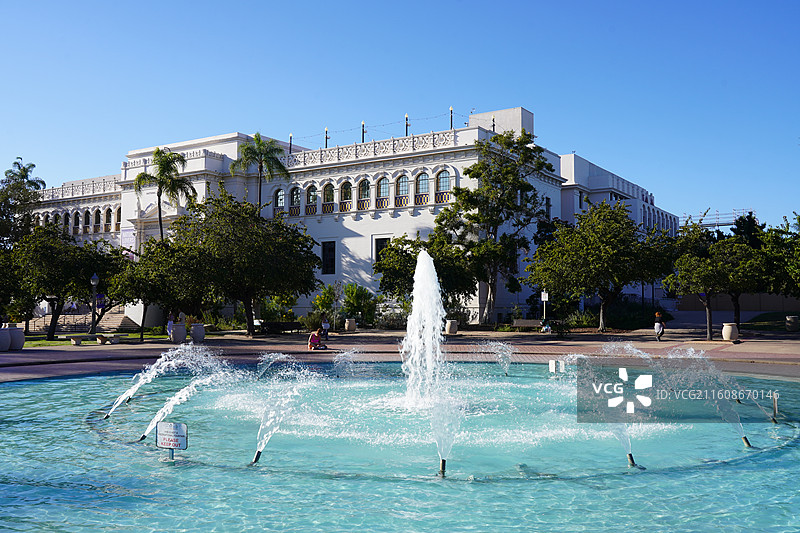 美国之旅留下的美好回忆之加州的阳光 陆地生物  一起看海图片素材