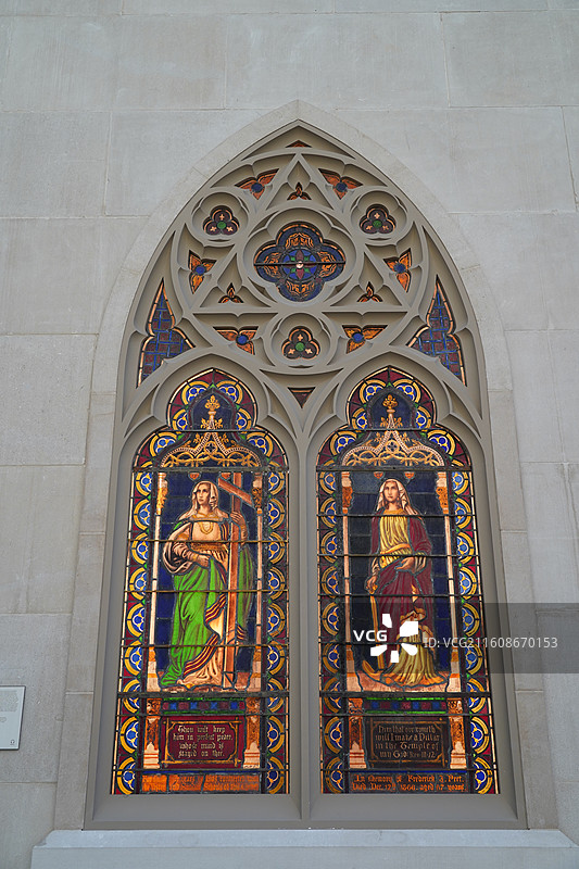美国之旅留下的美好回忆之加州的阳光 陆地生物  一起看海图片素材