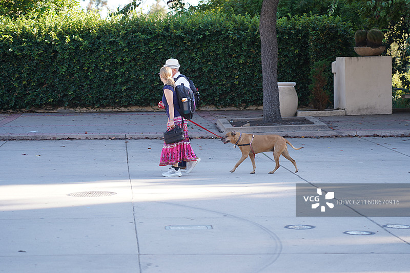 美国之旅留下的美好回忆之加州的阳光 陆地生物  一起看海图片素材