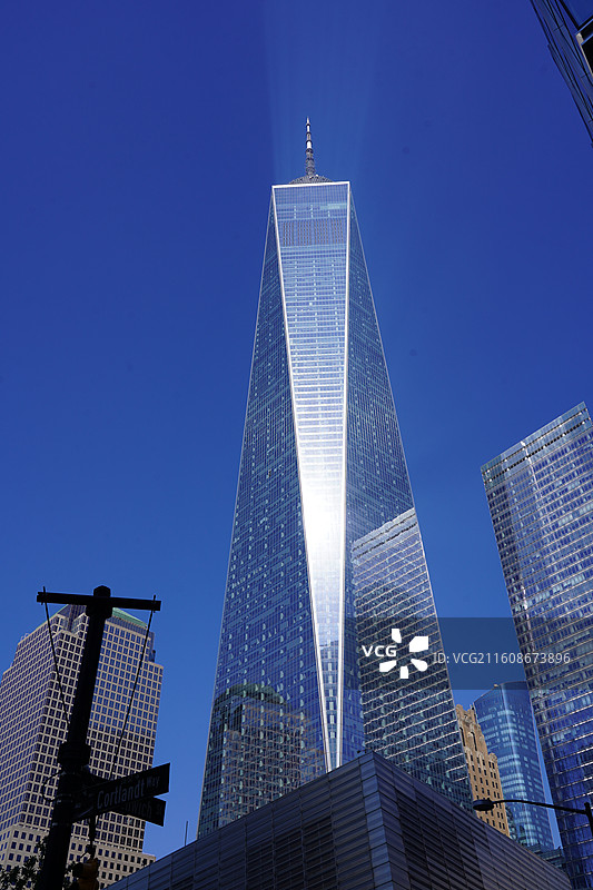 美国之旅留下的美好回忆之加州的阳光 陆地生物  一起看海图片素材