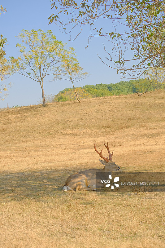 良渚古城遗址公园图片素材