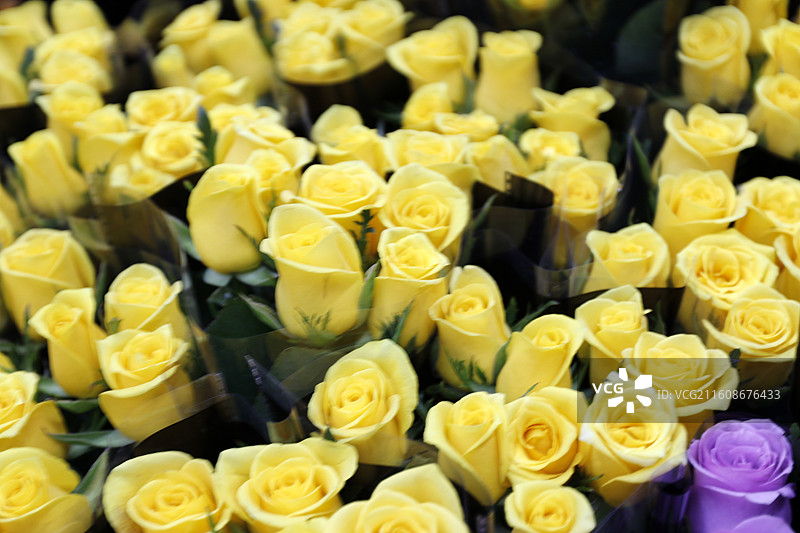 云南昆明斗南花市鲜花图片素材