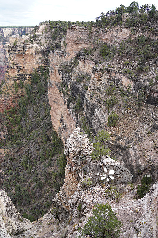 美国之旅留下的美好回忆之加州的阳光 陆地生物  一起看海图片素材