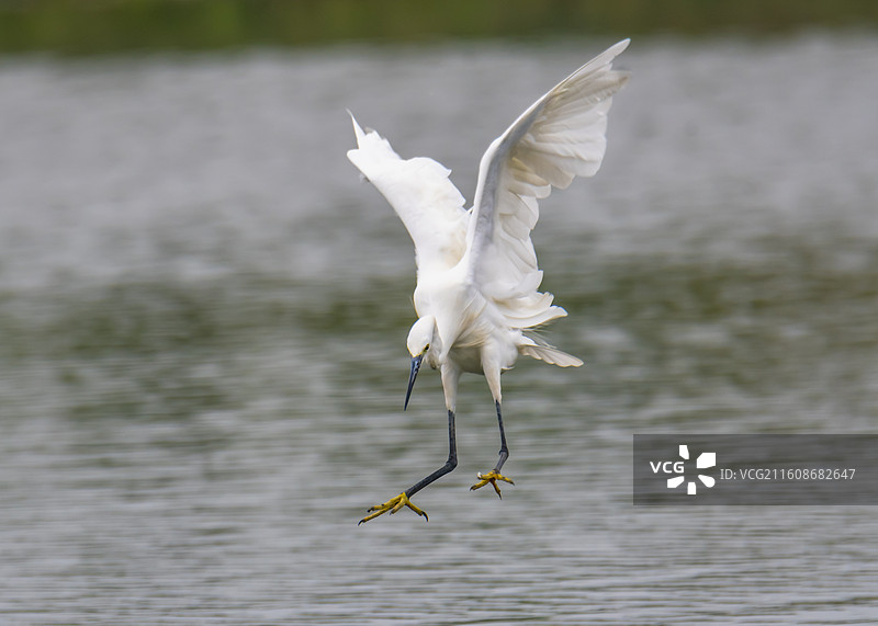 风尘仆仆的来了图片素材