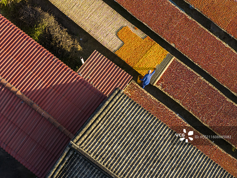 山西农家柿饼丰收季图片素材