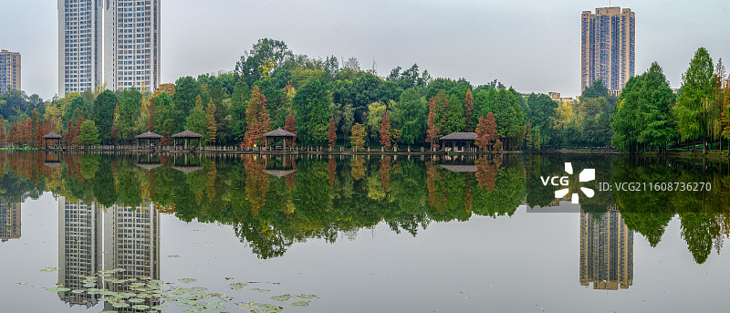 观音塘湿地公园初冬镜像图片素材
