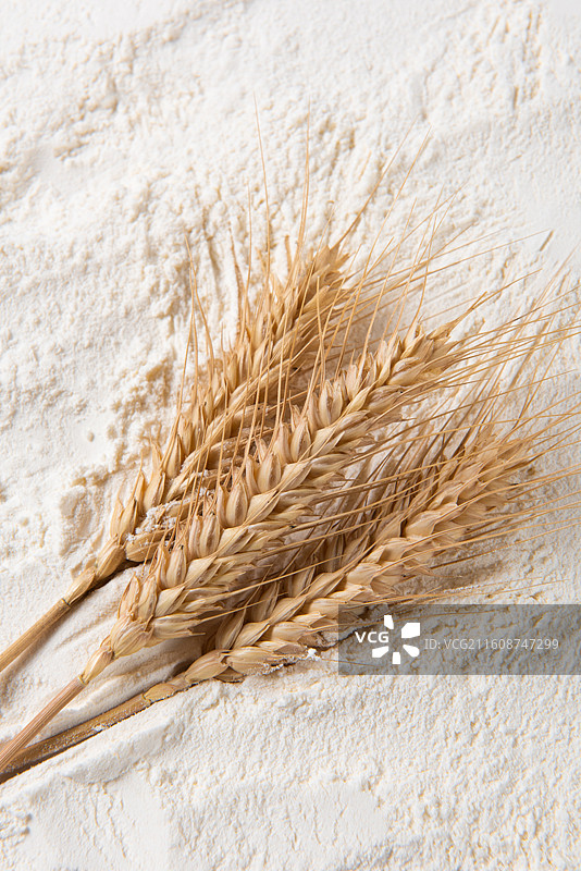 面粉小麦麦穗特写图片素材