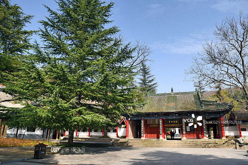 陕西岐山周公庙乐楼前一棵松图片素材