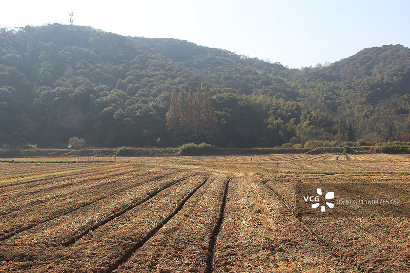 绍兴上虞 梅坞古道 梅坞村 土地 耕地 春耕 农业 农村 春天图片素材