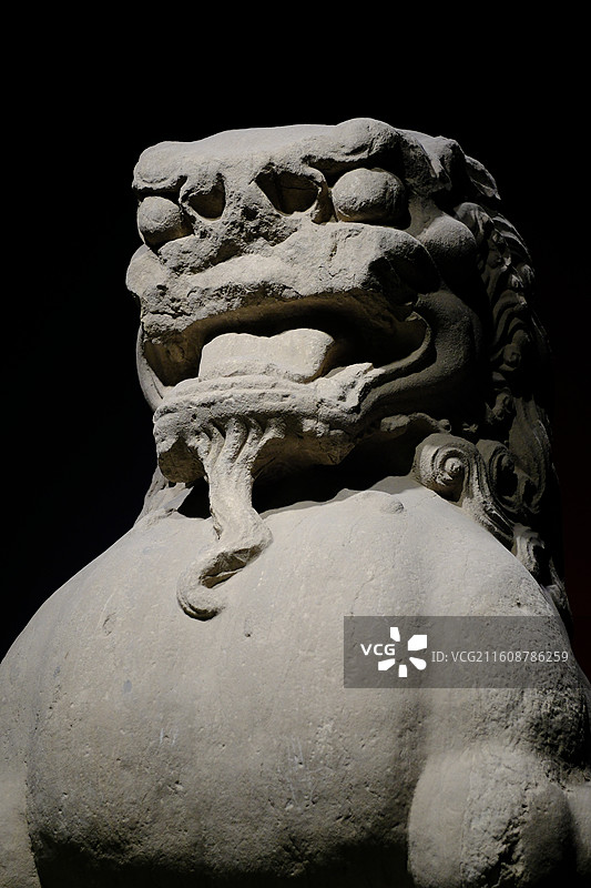 河北博物院帝陵唐代石狮。博物馆文物石家庄图片素材