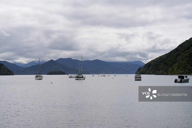 新西兰北岛到南岛坐轮船通过库克海峡看到的景色图片素材