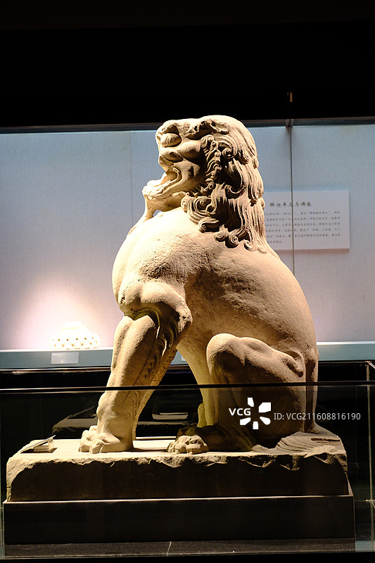 河北博物院帝陵唐代石狮。博物馆文物石家庄图片素材