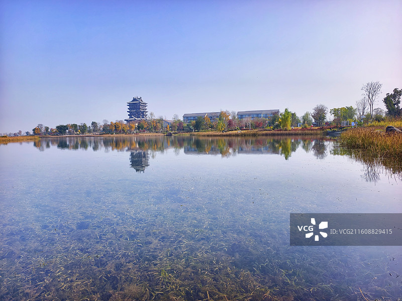 成都东安湖体育公园秋天图片素材