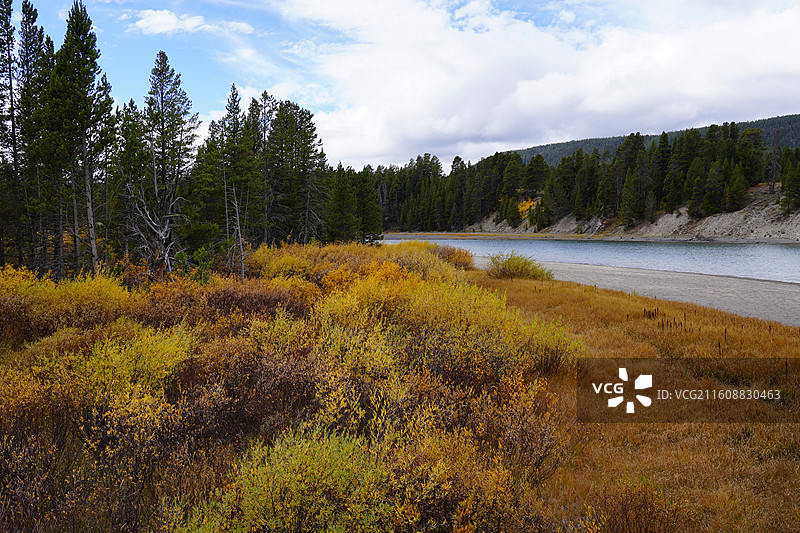 美国往事之黄石公园尼亚加拉瀑布普林斯顿大学纽约时代广场自由女神世界的十字路口图片素材