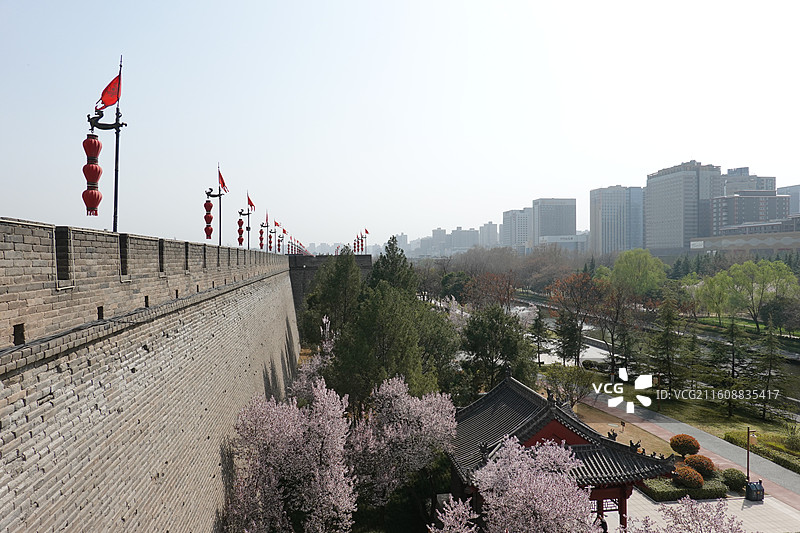 陕西西安明城墙西安城墙：西北城角角楼和环城公园紫叶李红叶李盛开图片素材