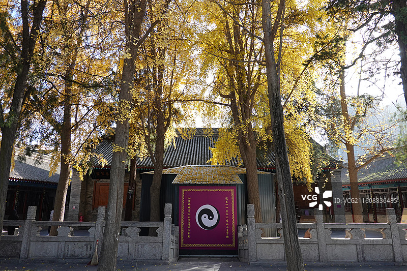 陕西省西安市碑林区长乐坊敕建万寿八仙宫八仙庵：斗姆殿斗姥殿前银杏秋景图片素材