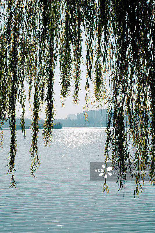 淮安文旅金湖柳树湾湿地公园清淤工人十二月上午在湖水里辛勤工作画面尽显劳动者的淳朴美感图片素材