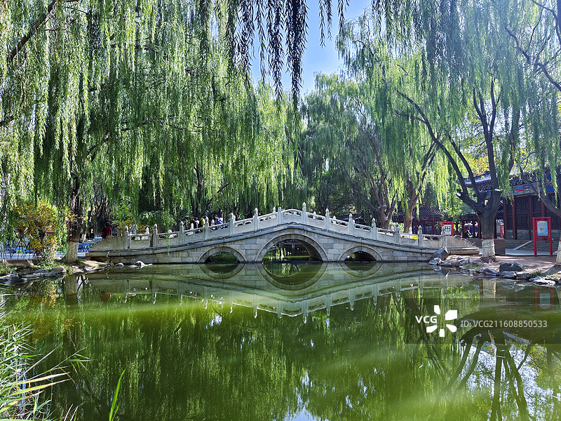 杨柳依依小桥边图片素材