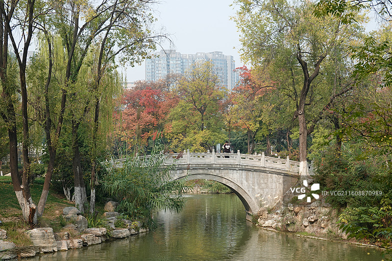 陕西省西安市碑林区兴庆宫公园兴庆湖秋景：鸳鸯桥红叶彩林图片素材