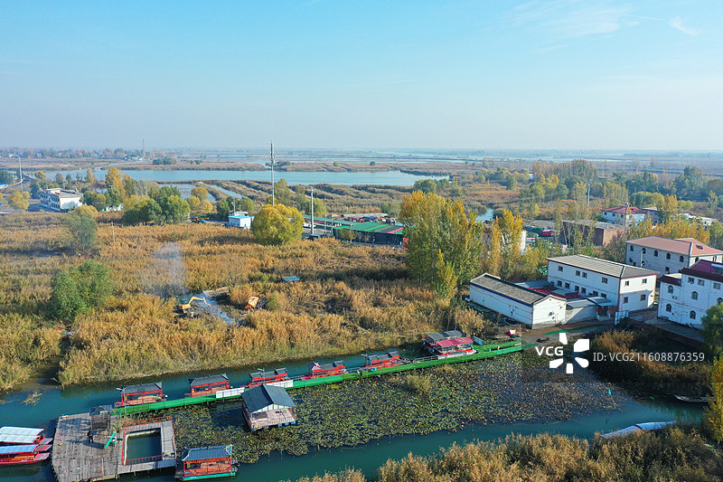 碧水连天映霞光，野鸭掠舞芦花黄  俯身临岸观舟远，银杏红叶风里扬  千岛万湖织洋淀，生态画卷韵悠长图片素材