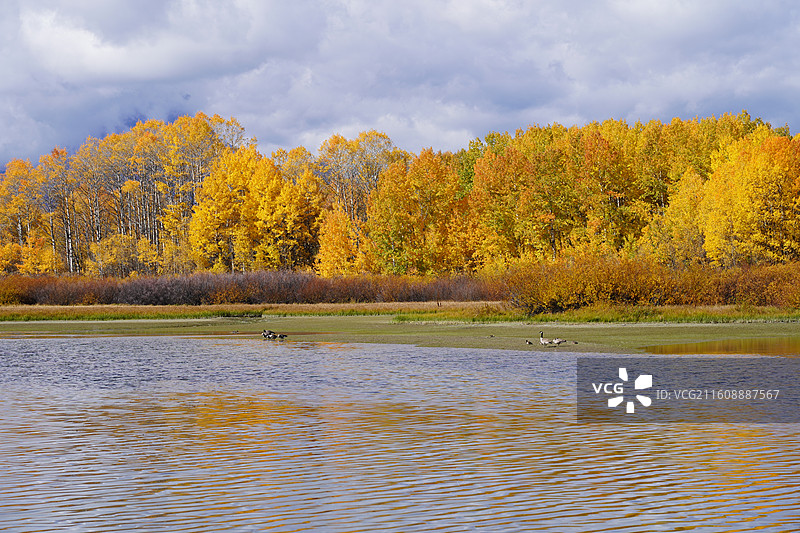 美国往事之黄石公园尼亚加拉瀑布普林斯顿大学纽约时代广场自由女神世界的十字路口图片素材