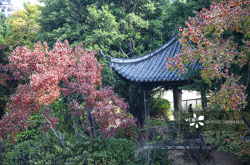 落日熔金、光明港风光图片素材