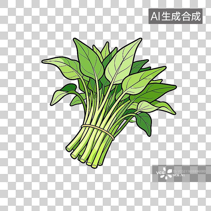 【AI数字艺术】[矢量EPS素材]新鲜翠绿的菠菜蔬菜图片素材